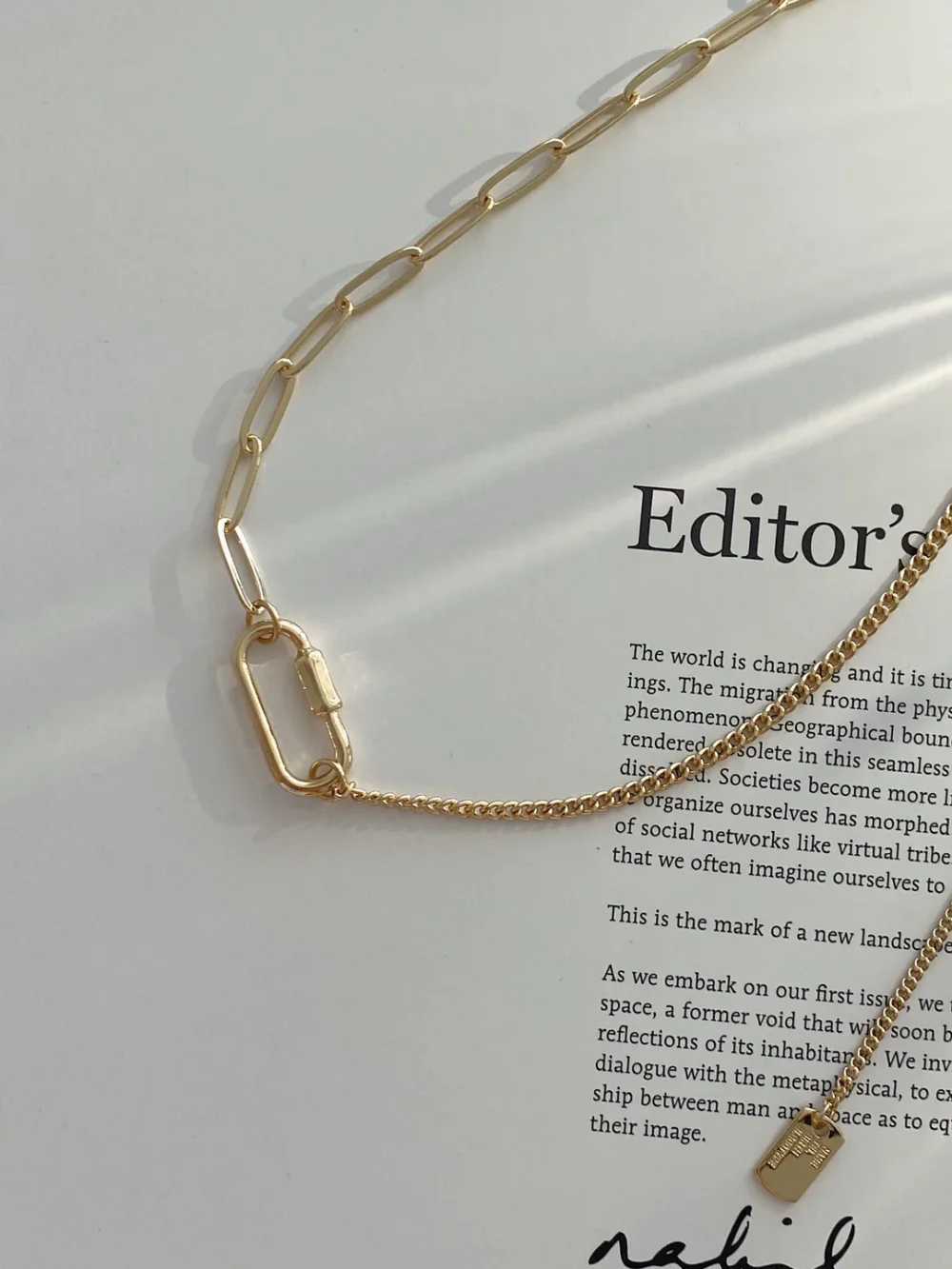 Chain Link Necklace - 图片 3